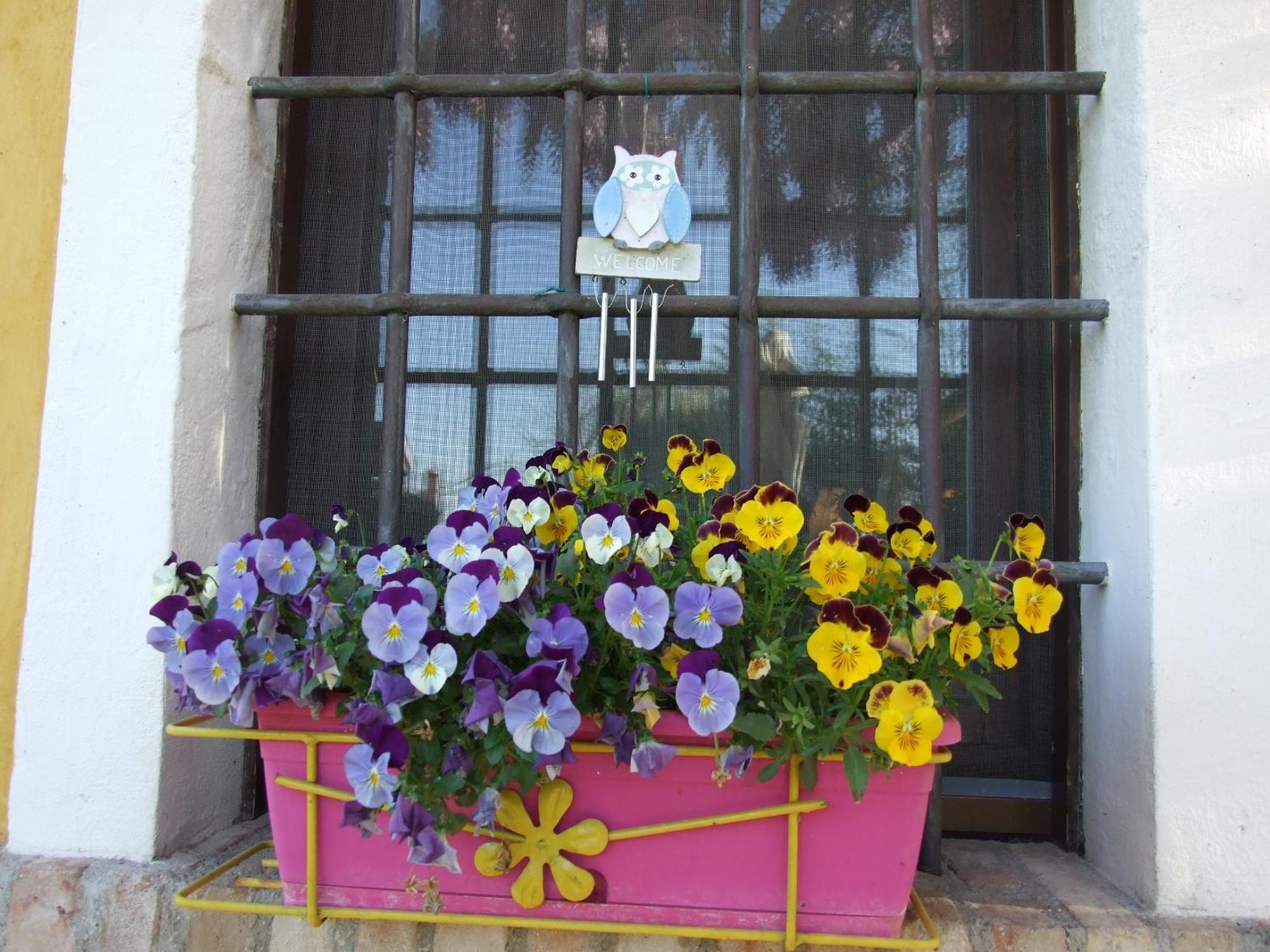 B&B Casacasina Монцамбано Екстериор снимка
