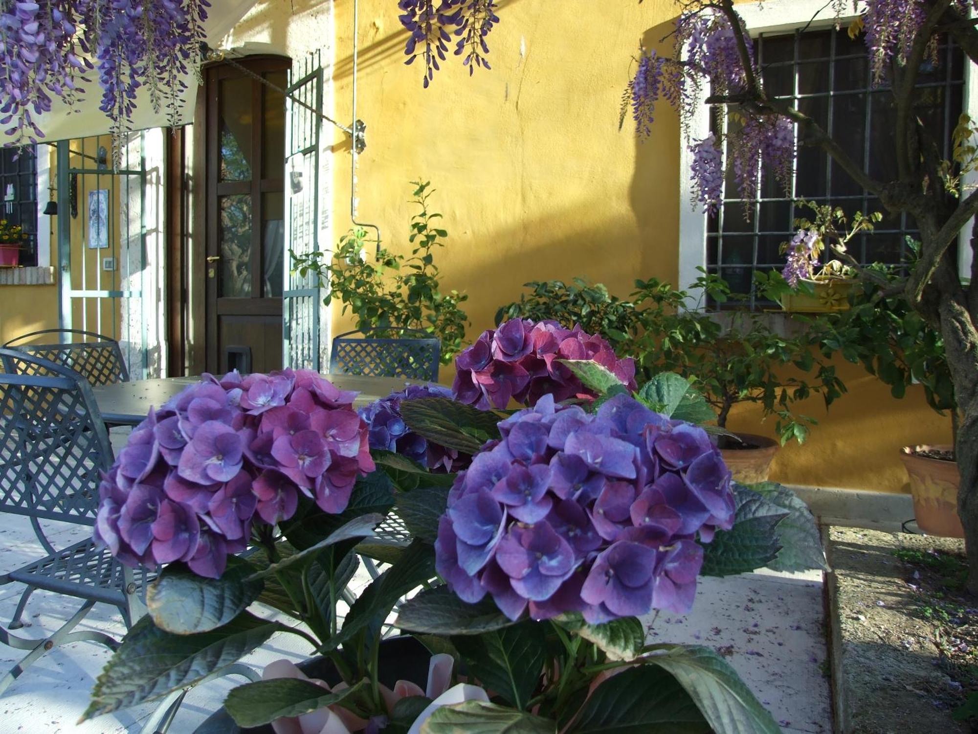 B&B Casacasina Монцамбано Екстериор снимка