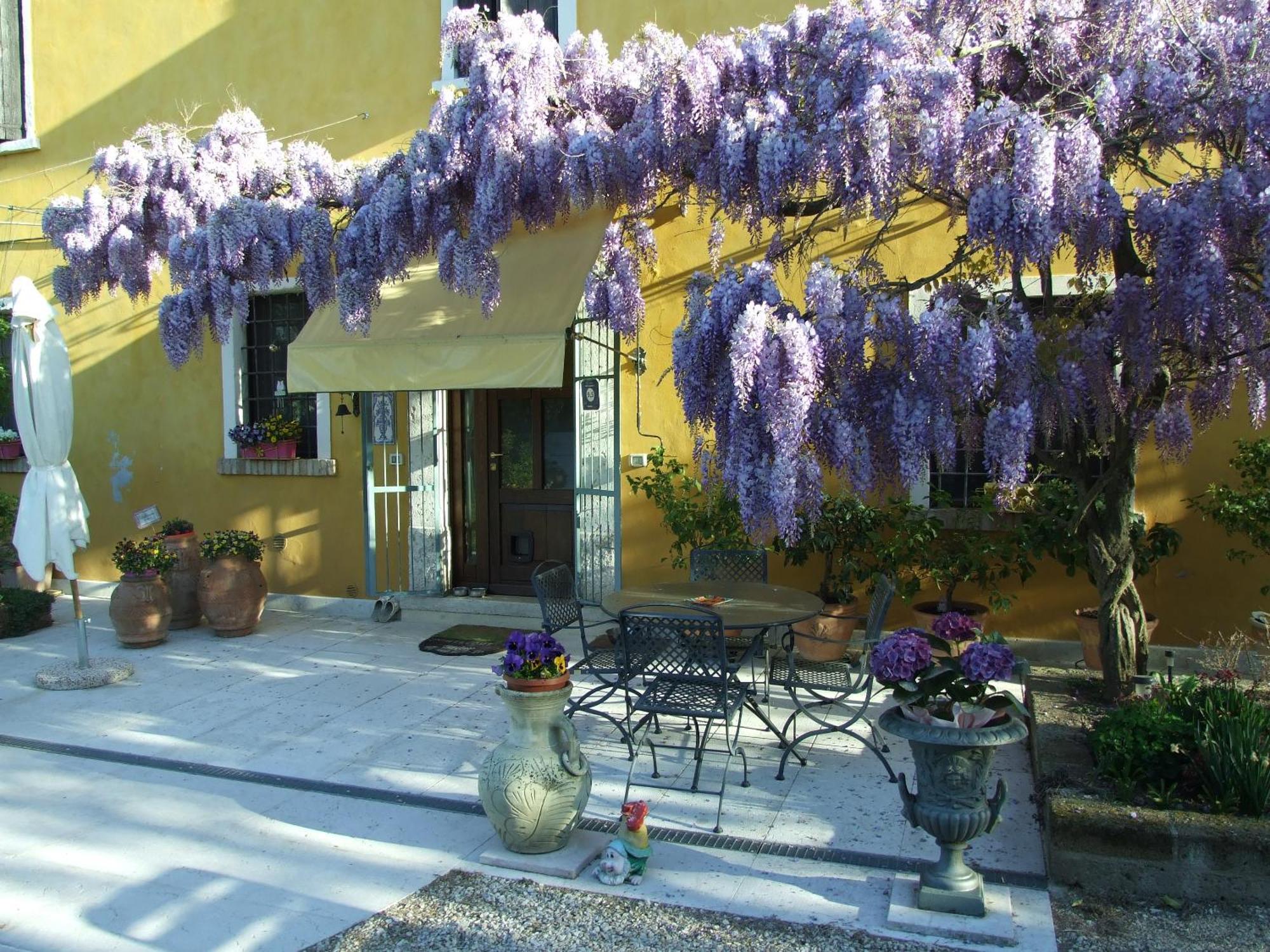 B&B Casacasina Монцамбано Екстериор снимка